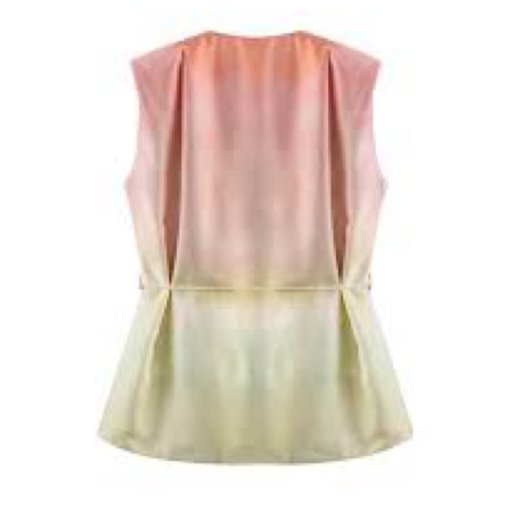 Zara Elegant Pink and Cream Sleeveless Dress - Picture 5 of 7
